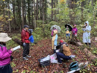 �ώ@�� (1).jpeg