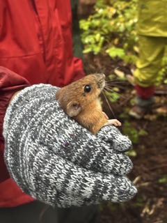 �ώ@�� (2).jpeg