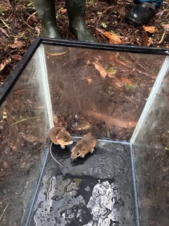 �ώ@�� (3).jpeg