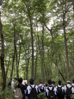 IMG-5855.jpg
