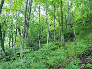 IMGP4127.JPG