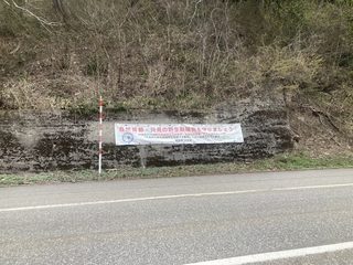 IMG_0861 2.jpeg