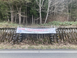 IMG_0863 2.jpeg