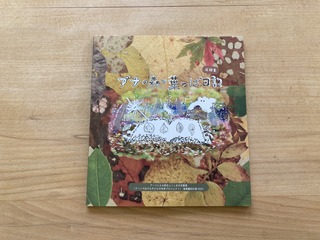 IMG_1145.jpeg