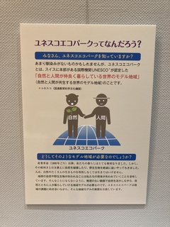 IMG_1177.jpeg