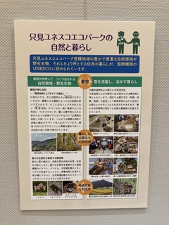 IMG_1178.jpeg
