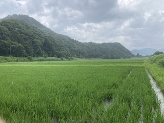 IMG_1313.jpeg