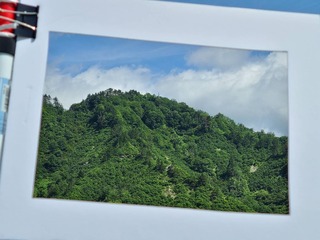 IMG_1342.JPG
