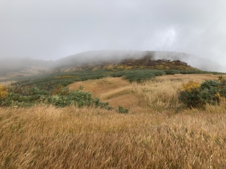 IMG_1632.jpeg
