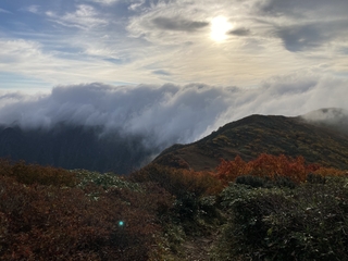IMG_1639.jpeg