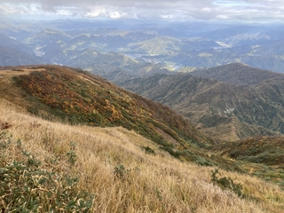 IMG_1676.jpeg