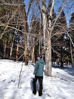 IMG_20180311_093929_RR.jpg