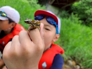 IMG_2373.JPG
