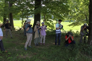 IMG_6243_RR.jpg