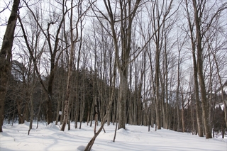 IMG_8937_R.JPG