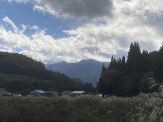 IMG_9813.jpeg