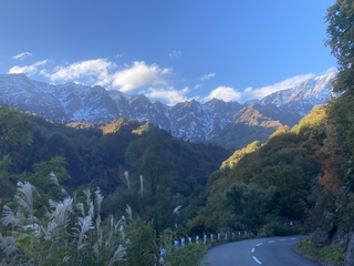 IMG_9819.jpeg