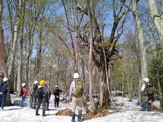 KIMG0951.JPG