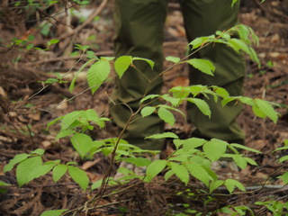 P4270141.JPG