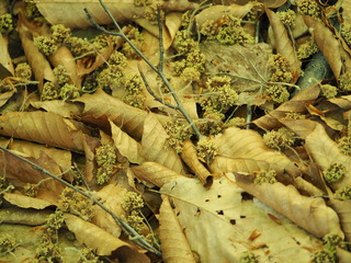 P4280071.JPG