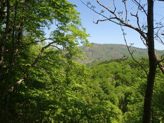 P4280080.JPG