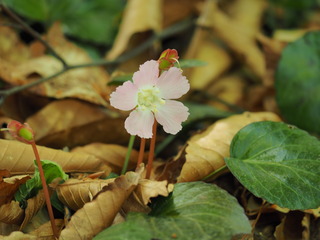P4280088.JPG