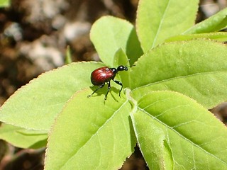 P4280090.JPG