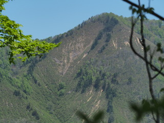 P4280103.JPG
