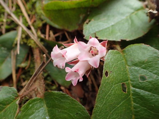 P4300213.JPG