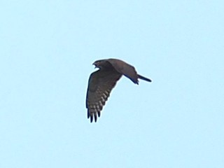 P5060027.JPG