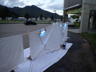 P7310317.JPG