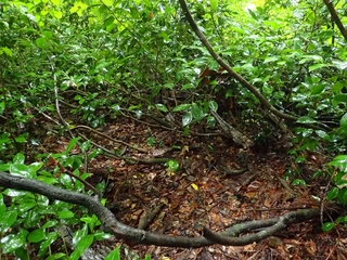 P9010087_RR.jpg