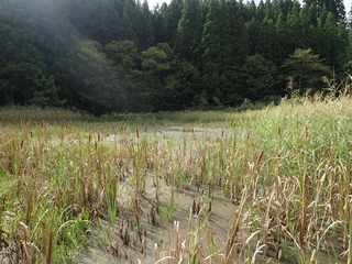 P9160007.JPG
