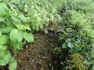 P9160157.JPG