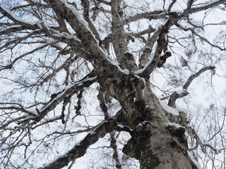 PC170196.JPG