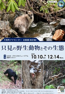 R2-3_Tadami_animal_poster.jpg