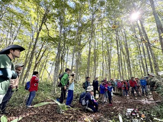 image_50788865.JPG