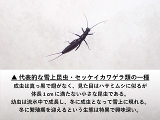 ppt-摜-1.jpg