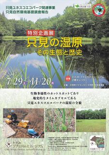 wetland_R.jpg