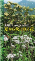 3 夏から秋に咲く花