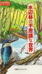 5 水辺林の不思議な世界