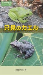 17 只見のカエル